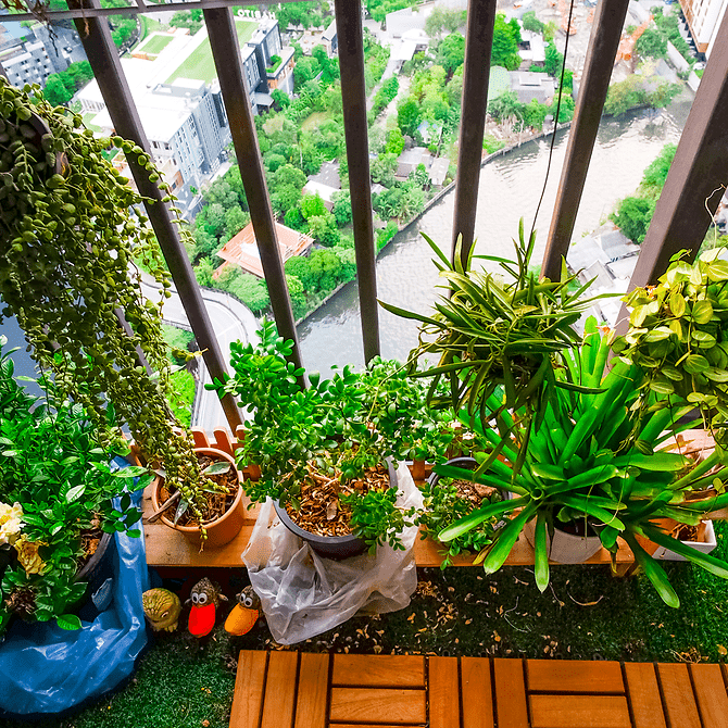 balkon groen planten