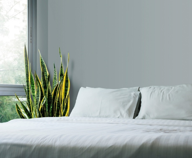 Planten in slaapkamer