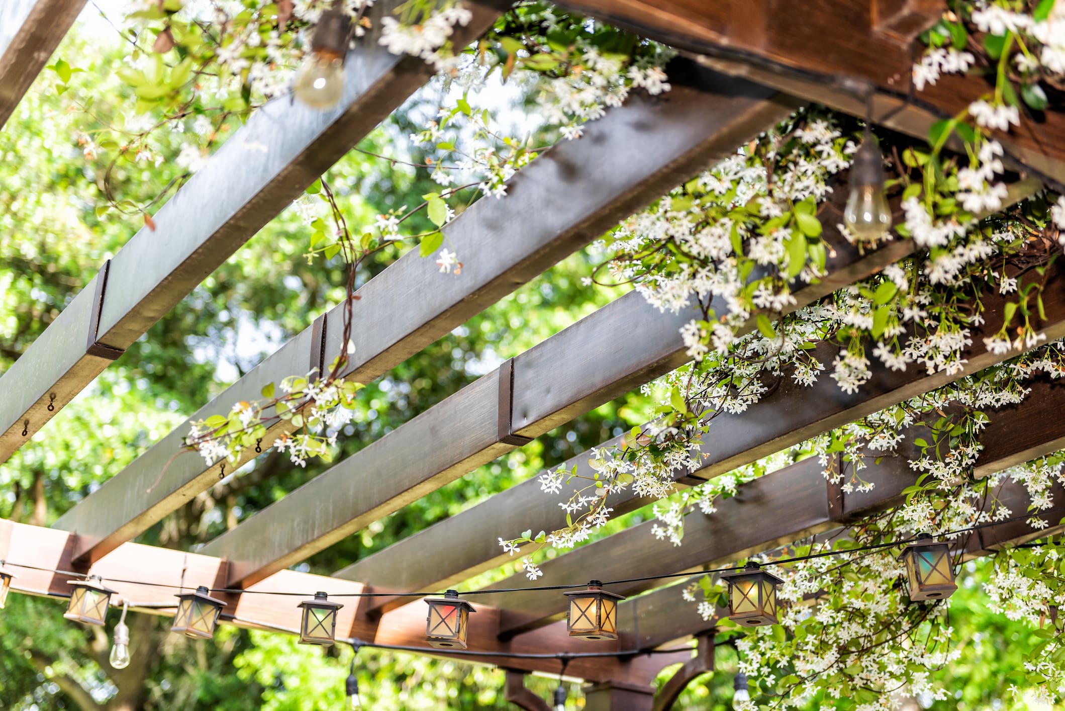 Pergola schaduwplek tuin